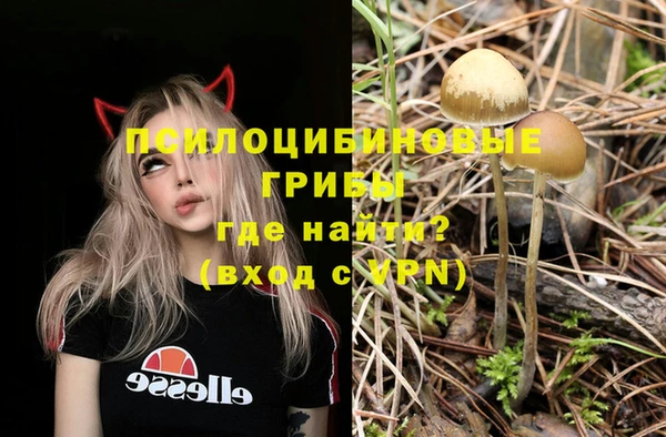 прущая мука Арсеньев