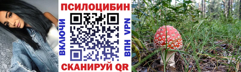Псилоцибиновые грибы прущие грибы  ОМГ ОМГ ссылка  Константиновск 